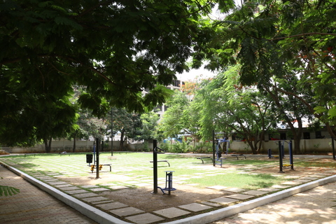 layout